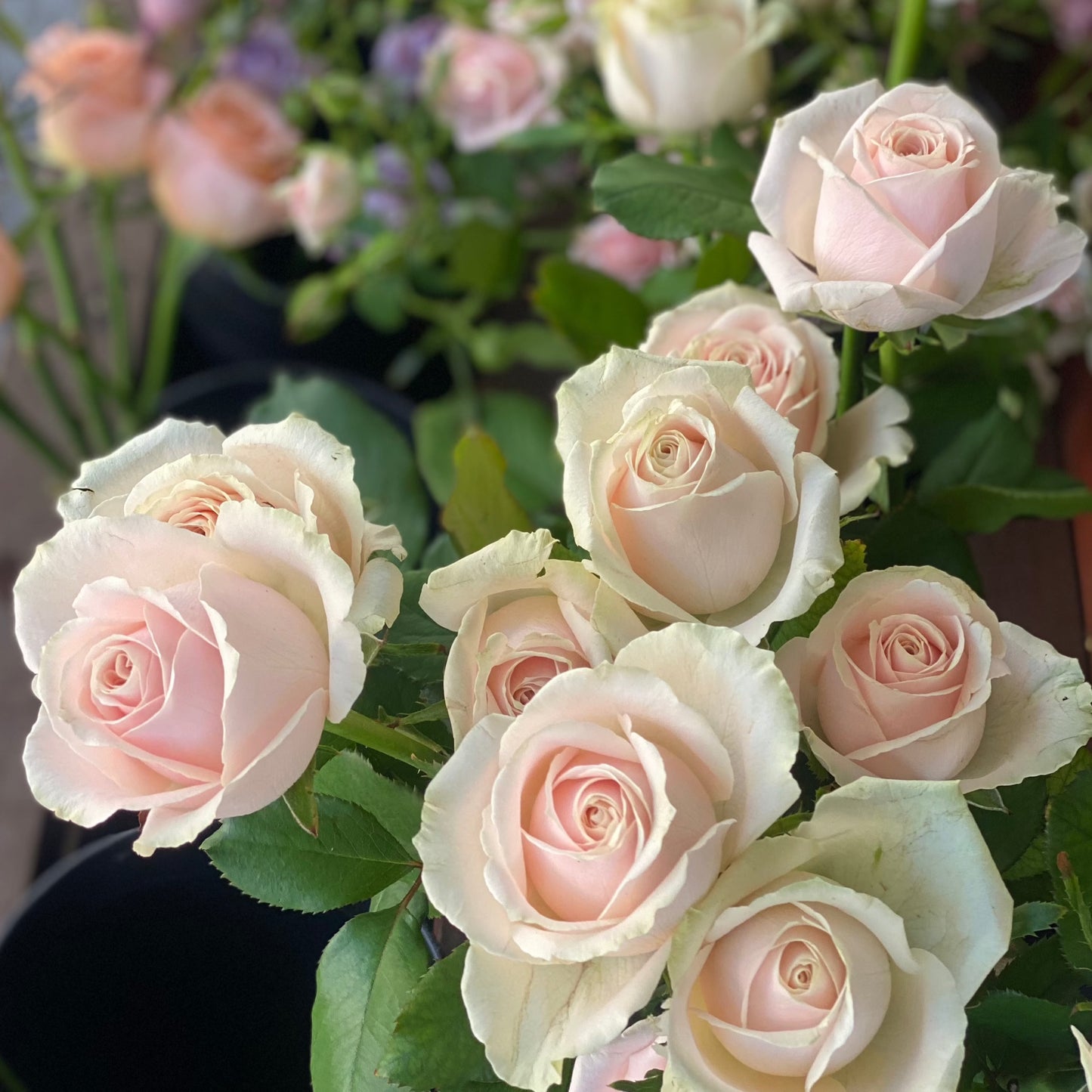 Blush Rose Bouquet